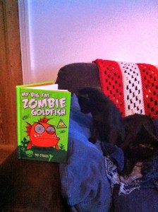 Kittens reading MBFZG